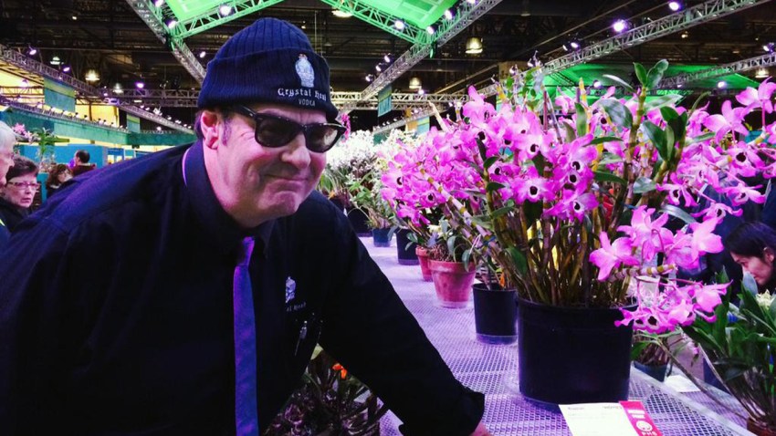 dan aykroyd flower show