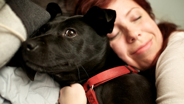 dognycapts