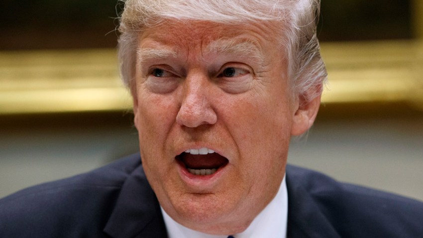 Trump 100 - 100 Photos