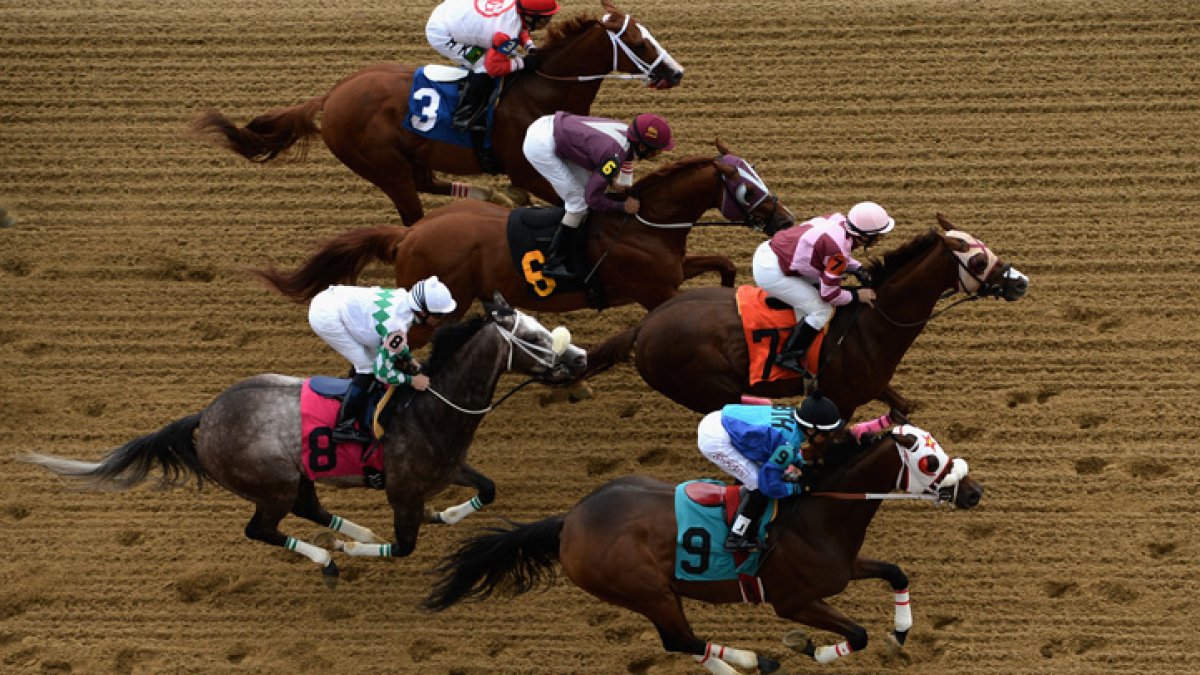 Rule That Limits Whipping Race Horses Starts in New Jersey NBC10 Philadelphia