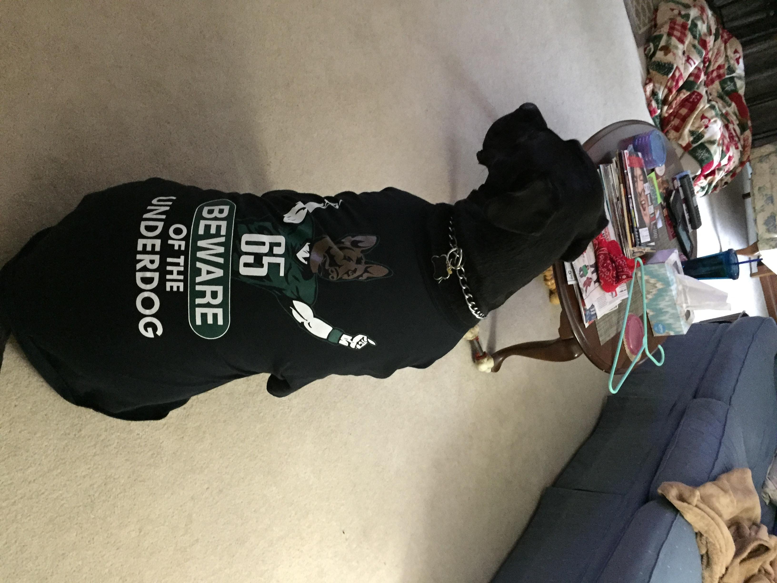 Long challenges NFL to donate Eagles underdog T-shirt sales to charity