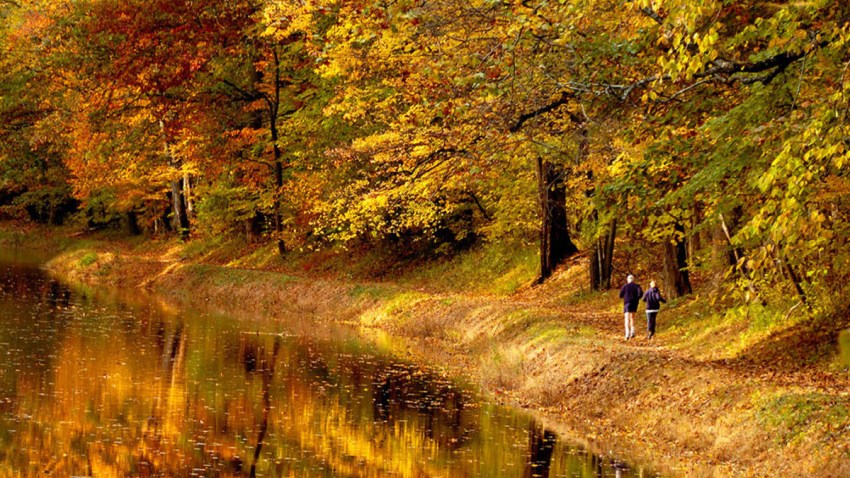 fall foliage courtesy visit bucks county