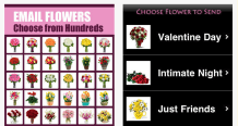 flower email-Screen Shot 2015-02-10 at 12.13.23 PM