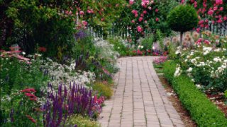 garden5