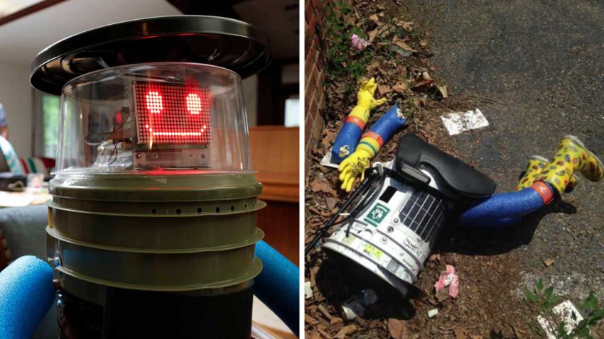 hitchbot