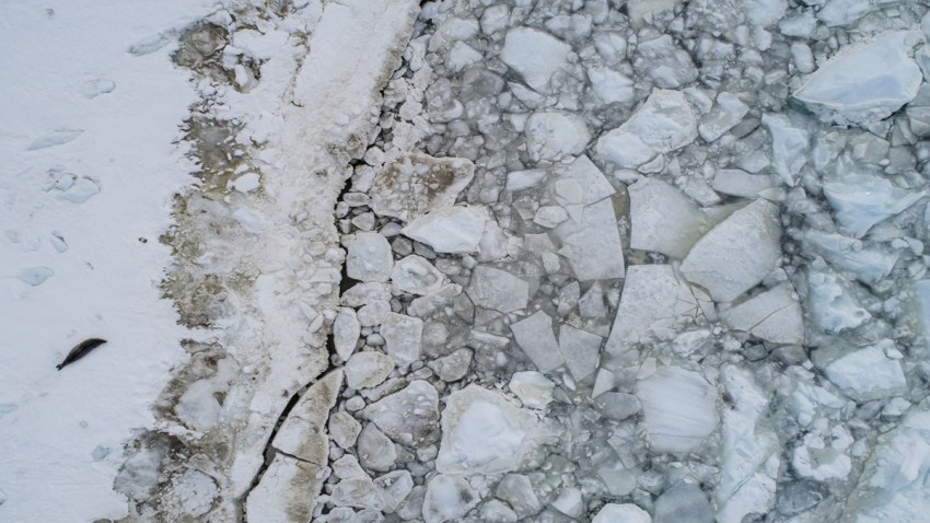 ice9879764876