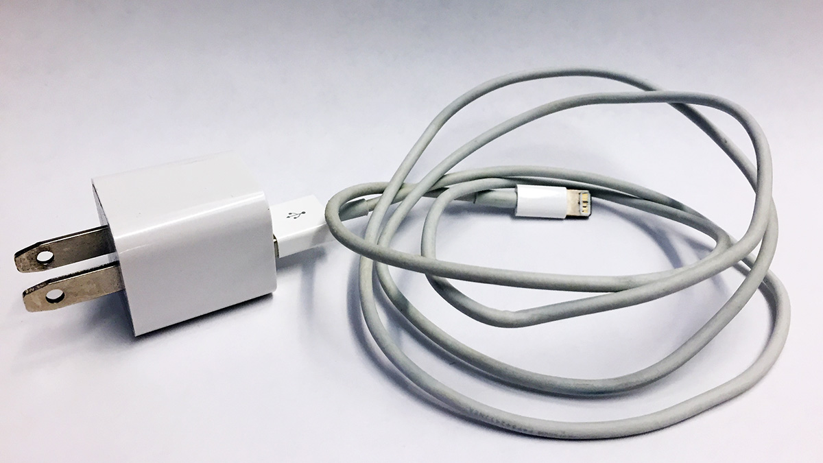 Entire borough without power Wednesday after tree falls on power lines