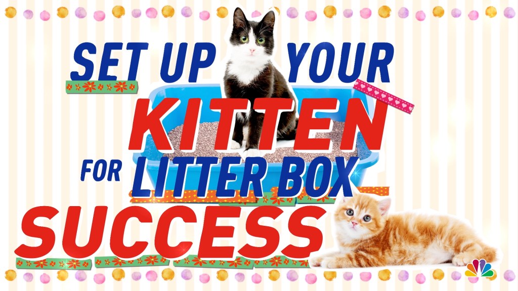 Https Www Nbcphiladelphia Com News National International Tonight