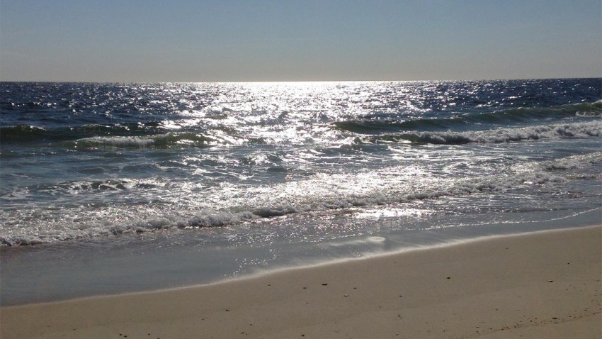 long branch beach