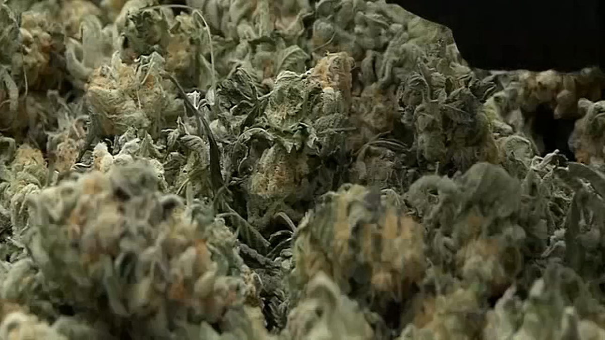 Delaware To Legalize Recreational Marijuana – NBC10 Philadelphia