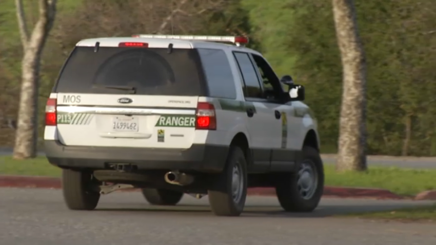 Rangers closed Rancho San Antonio Preserve within minutes after a mountain lion bit a 6-year-old girl Sunday.