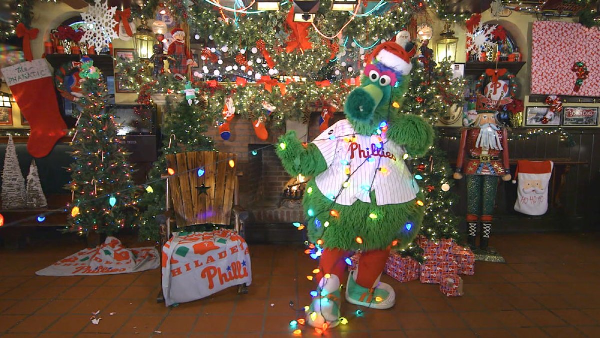 Adorable dog dressed as the Phillie Phanatic makes Phillie Phanatic do  adorable things