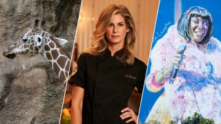 Giraffe, Chef Jennifer Carroll, Street Art featuring Patti LaBelle