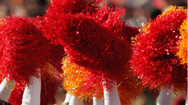 pom-poms