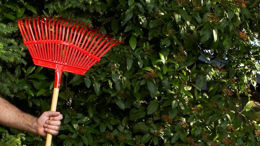 rake generic