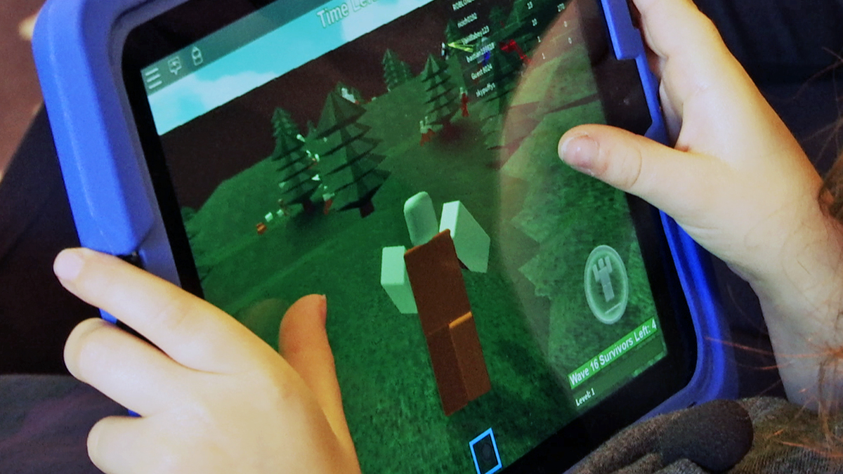 Mother Warns Of Sex Predators On Popular Online Gaming Site For