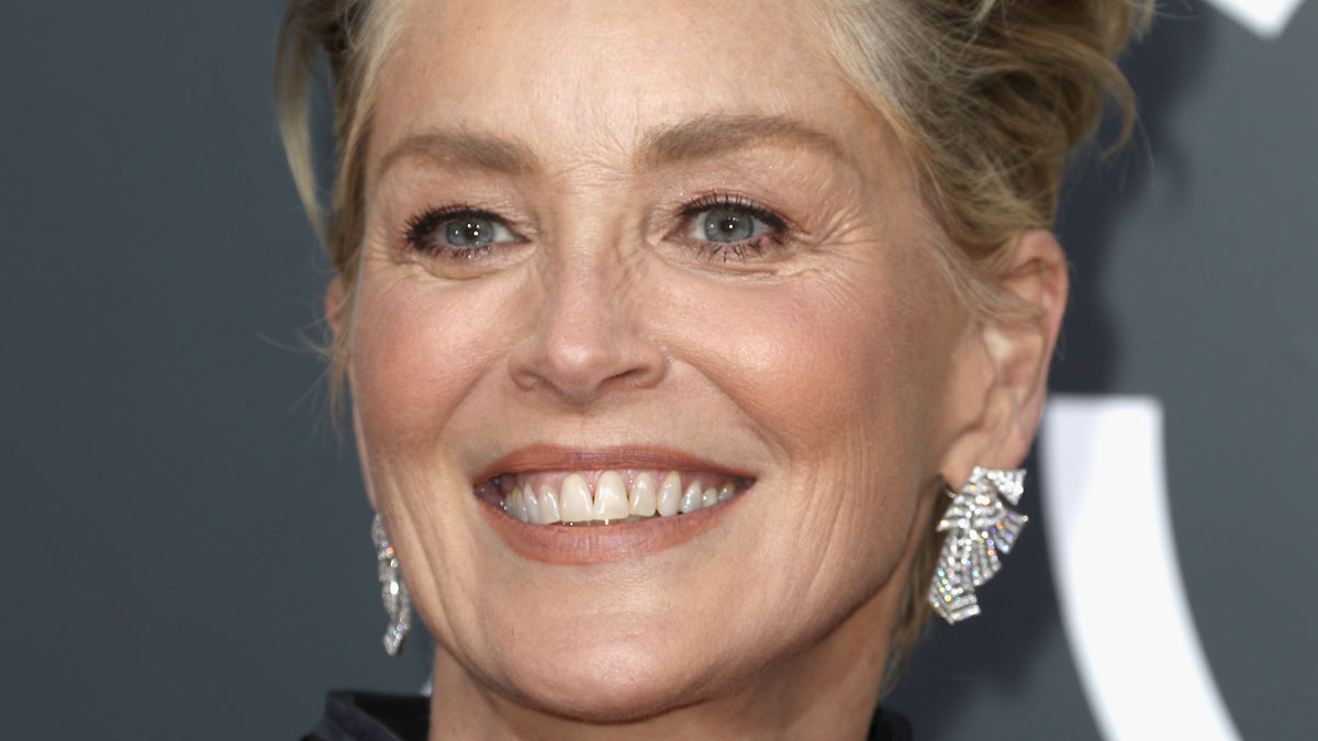 Sharon Stone Laughs for 10 Seconds Over Sexual Harassment ...