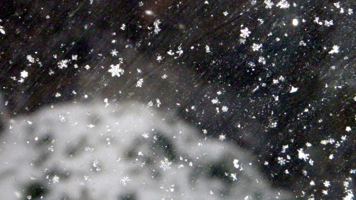snow Thumb crop
