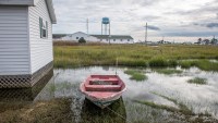Secluded Chesapeake Bay Island Keeps Eye on Virus From Afar