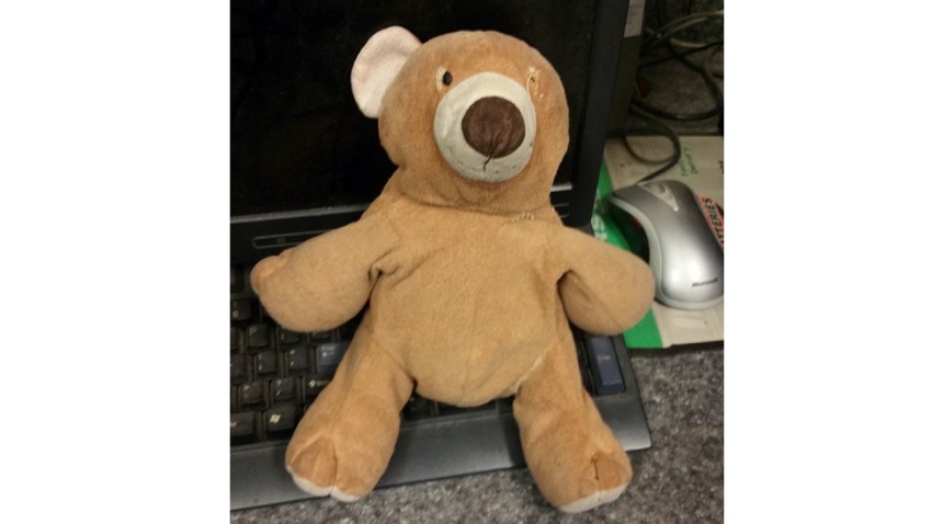 turnpike-bear