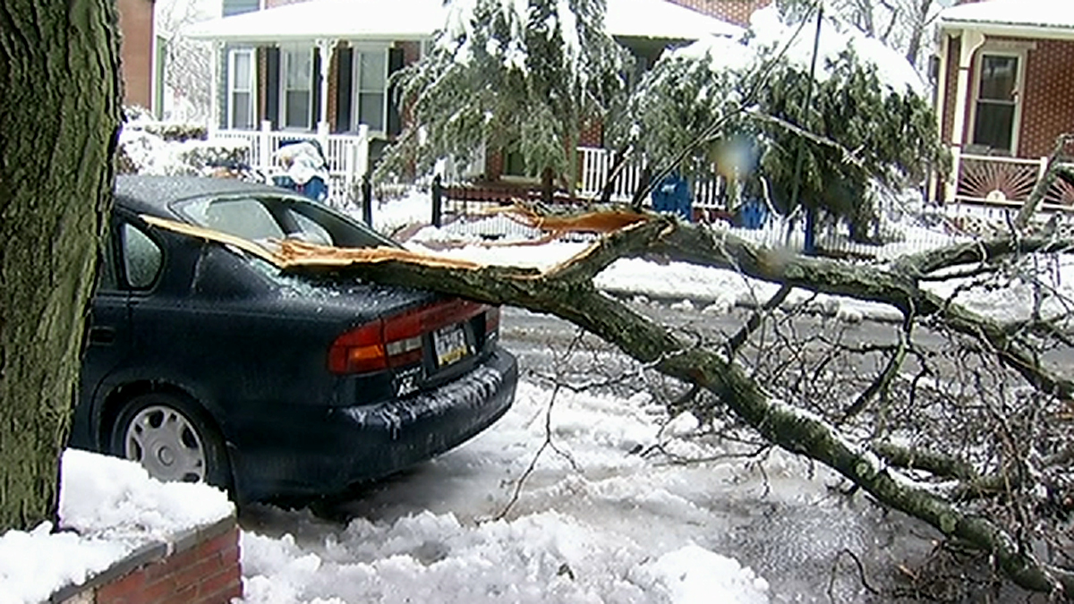 Icy Mess Downs Trees, Knocks Out Power, Stops Traffic NBC10 Philadelphia