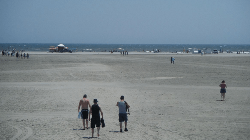 wildwood