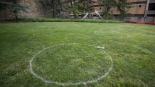 The grass at Beury Beach at Temple University is marked with circles for social distancing ahead of students' likely return to campus this fall.
