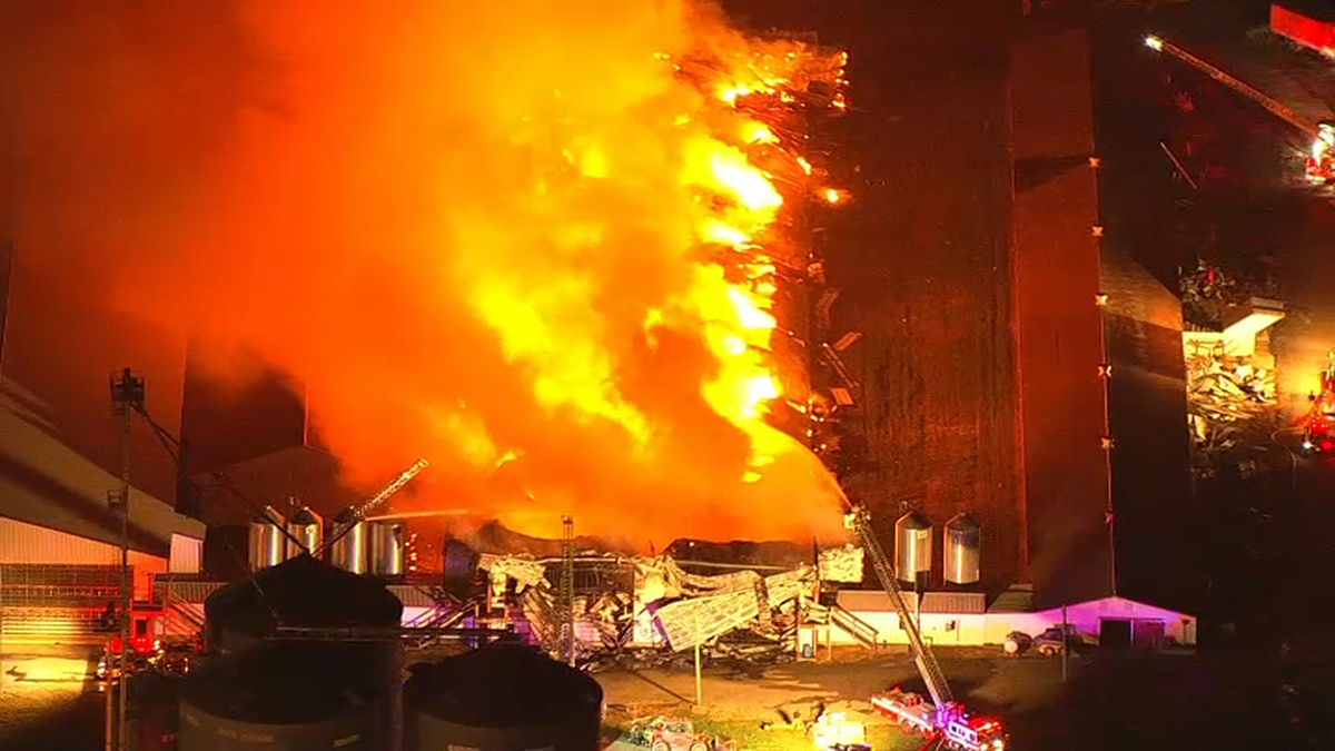 Flames Tear Through Salem County, New Jersey ,Egg Farm; Hundreds of