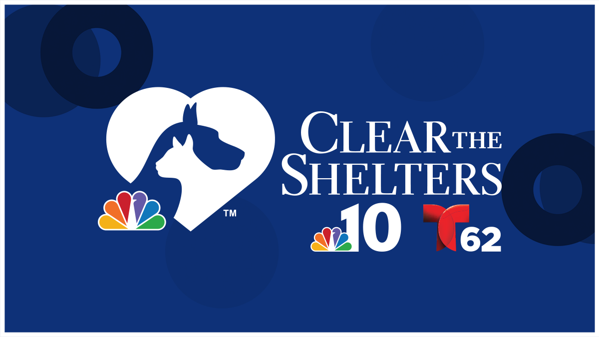 NBC10 and Telemundo62 to host monthlong Clear the Shelters pet