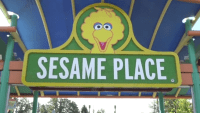 Get ‘Splashy' This Summer With Sesame Place's New Water Play Fun