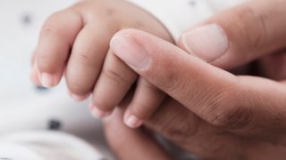 Baby hand in adult hand