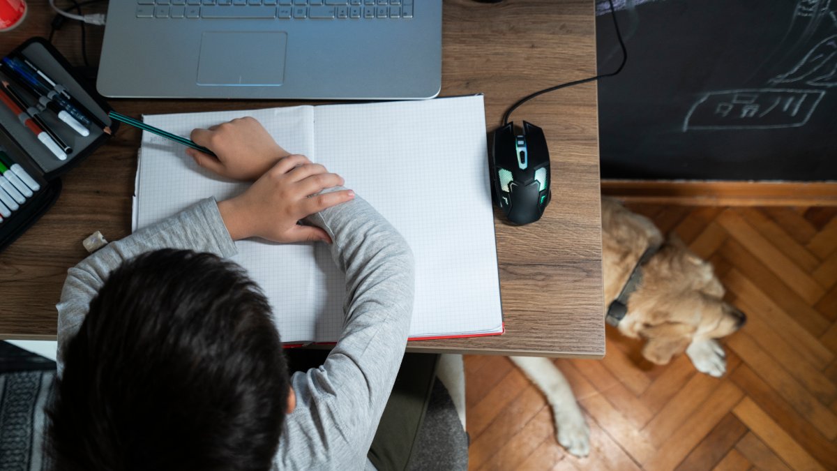 Homeschooling Surge: Safety & Oversight Concerns in Philadelphia Homeschooling Surge: Safety & Oversight Concerns in Philadelphia