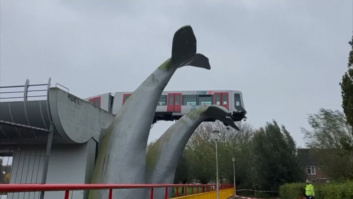 Elevated Train Saved From Plunge by Whale’s Tail Sculpture – NBC10 ...