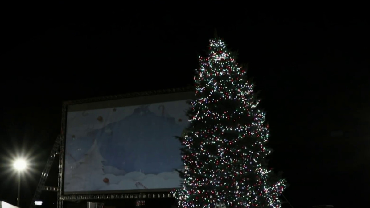 Holiday Events Christmas DriveThru, Virtual Tree Lighting and Scuba