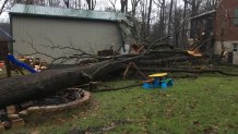 Downed tree in Pike Creek, Delaware