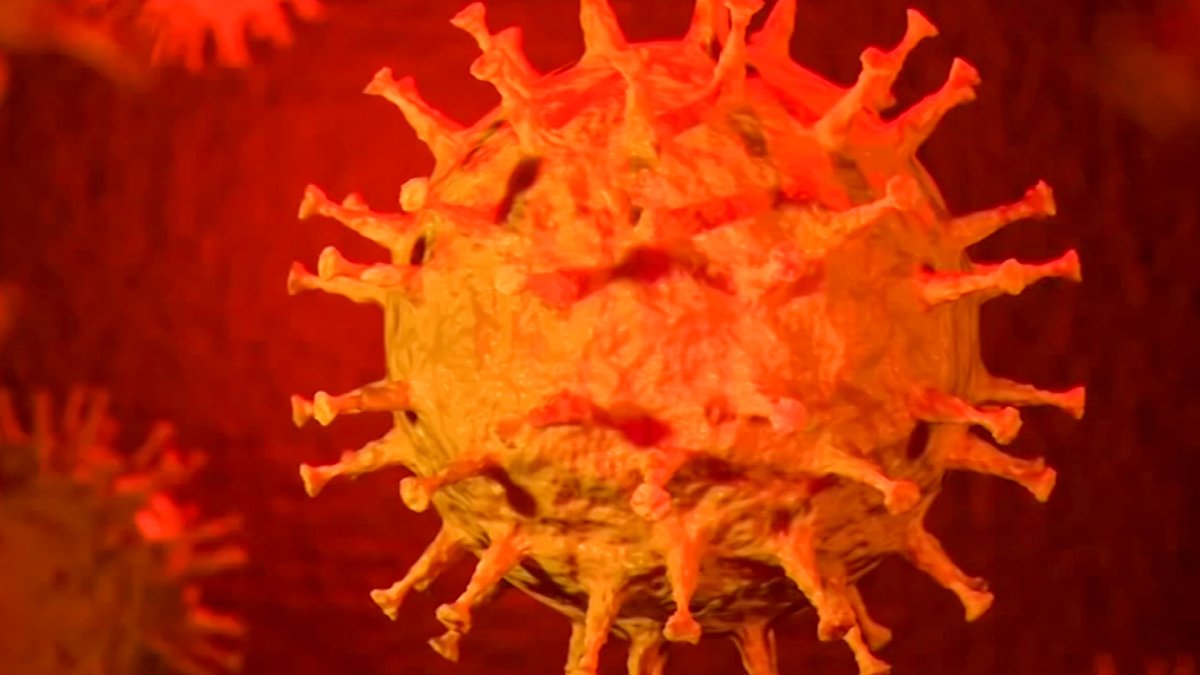 The Race Against Mutation: How Vaccines Will Keep Up as the Coronavirus ...