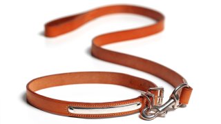 empty dog leash