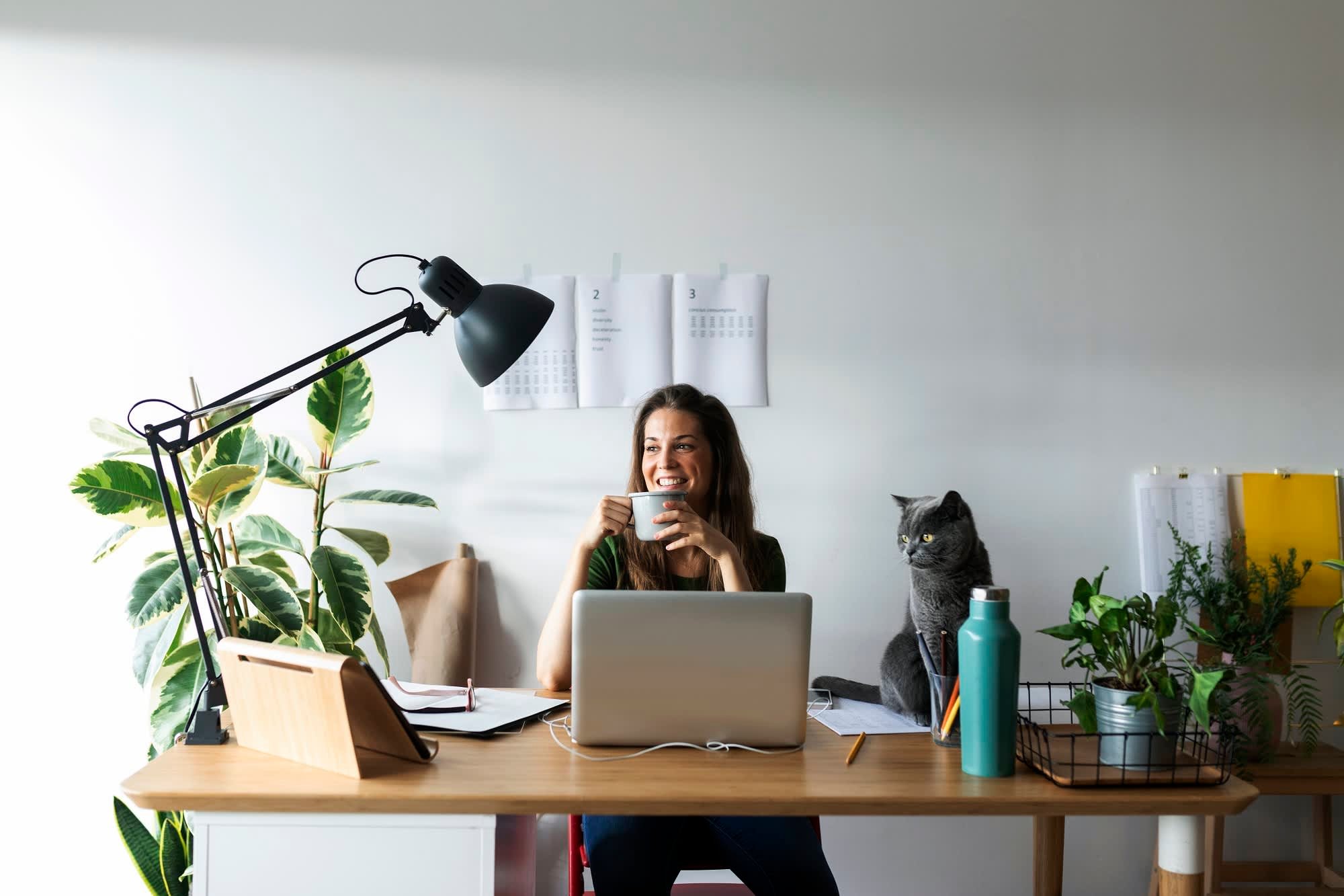 'Culture-As-A-Service' Could Be the Next Big Thing in the Workplace – NBC10 Philadelphia - Vimarsana News