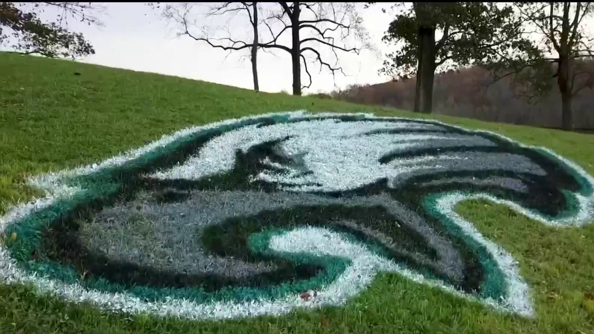 Philadelphia artist painting Eagles logos on fans' lawns - CBS Philadelphia