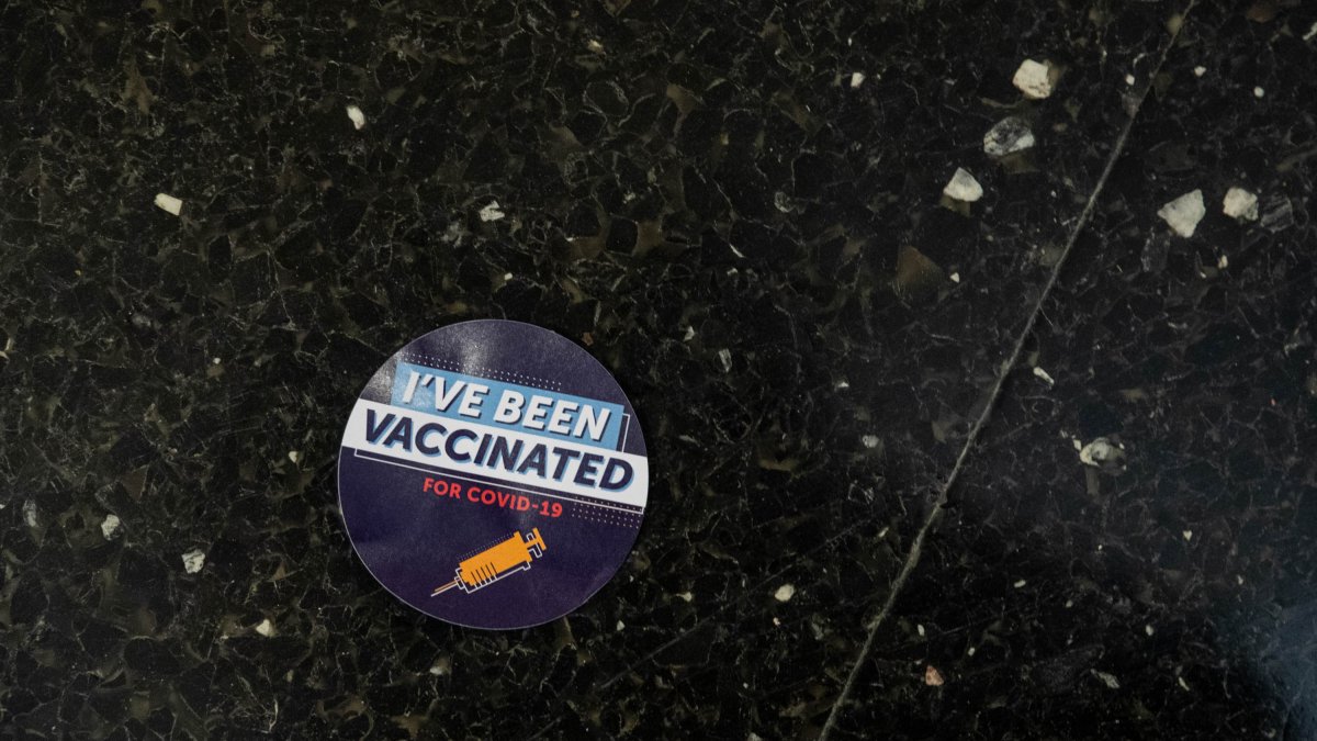 Fluid mask update catalina update Fluid mask update catalina update