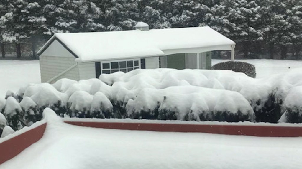 Thick snow covers bushes and the roof of a house, as well as the ground and surrounding trees in Lyndell, Pennsylvania.