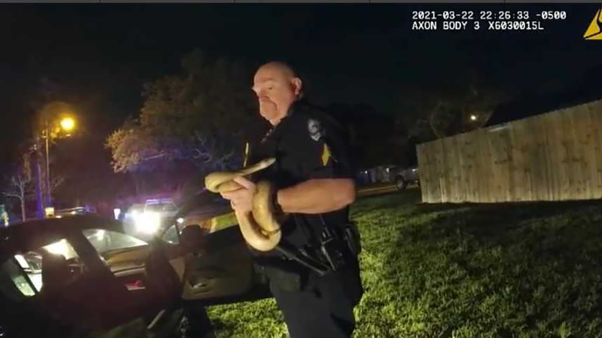 North Florida Officers Find ‘Emotional Support Snake' During DUI
Traffic Stop