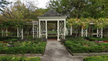 A walkway surrounded on both sides by green plants leads to a gazebo at the 18th century garden in Philadelphia's Independence Hall