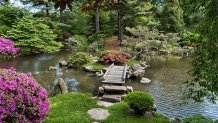 A small bridge goes over a pond at the Shofuso Japanese House and Garden