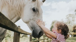Picture of a little girl petting a horse