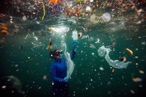 'Most Important Climate Deal Since Paris': UN Agrees Treaty to End Scourge of Plastic Pollution – NBC10 Philadelphia - Vimarsana News