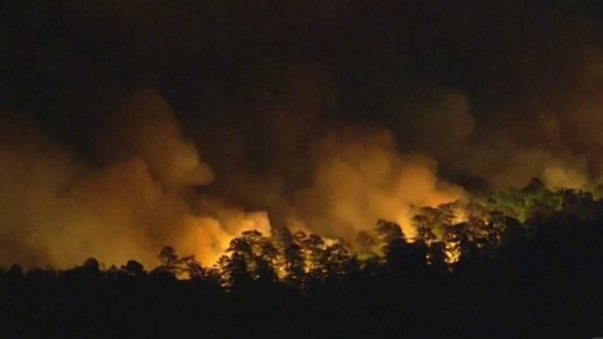 Officials Investigate Causes of 2 Wildfires in New Jersey – NBC10 ...