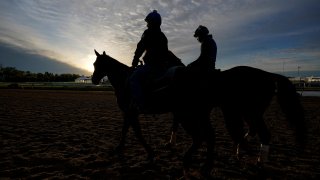 Preakness Horse Racing