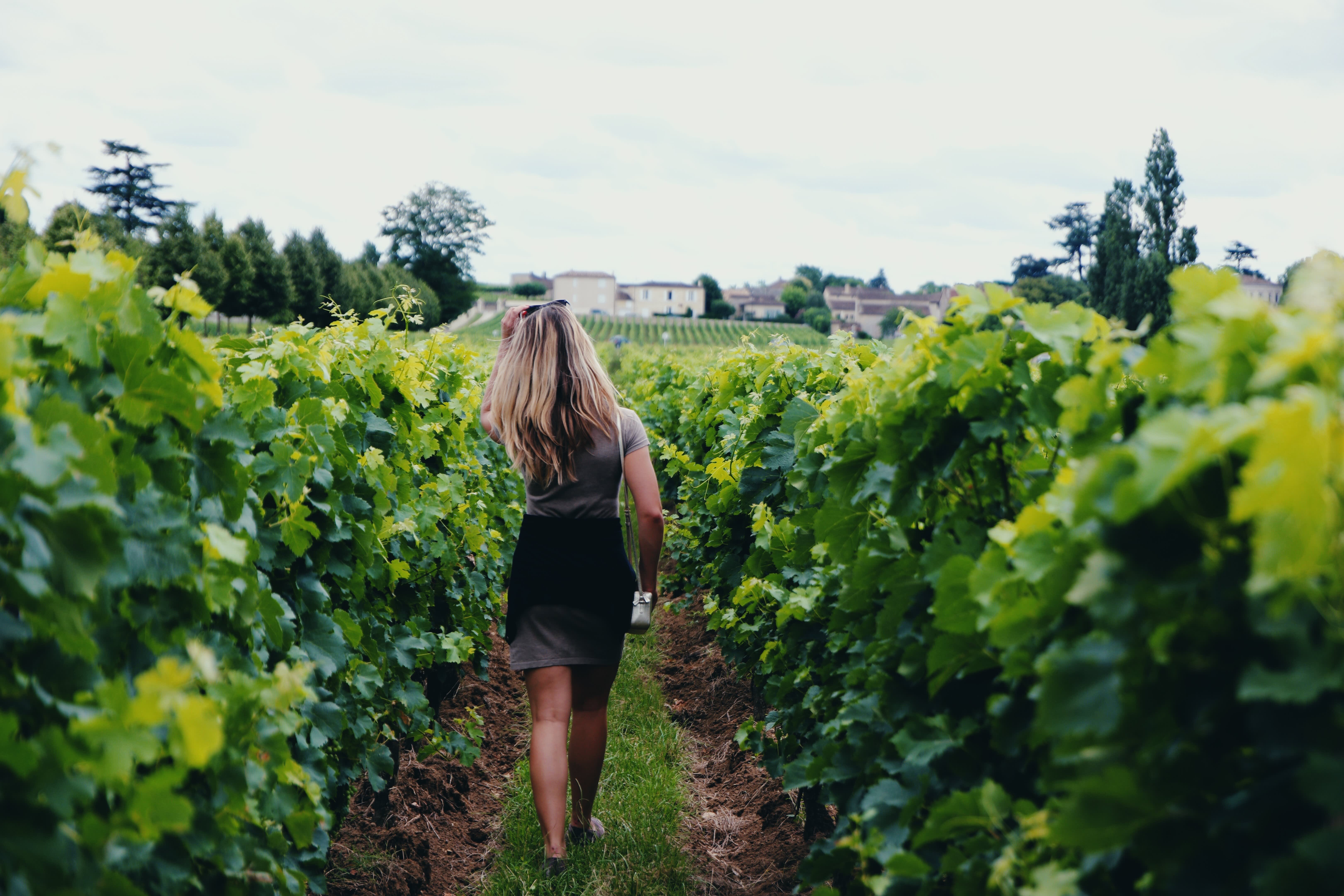 How to Spend a Month Abroad Without Missing Work - Vimarsana News