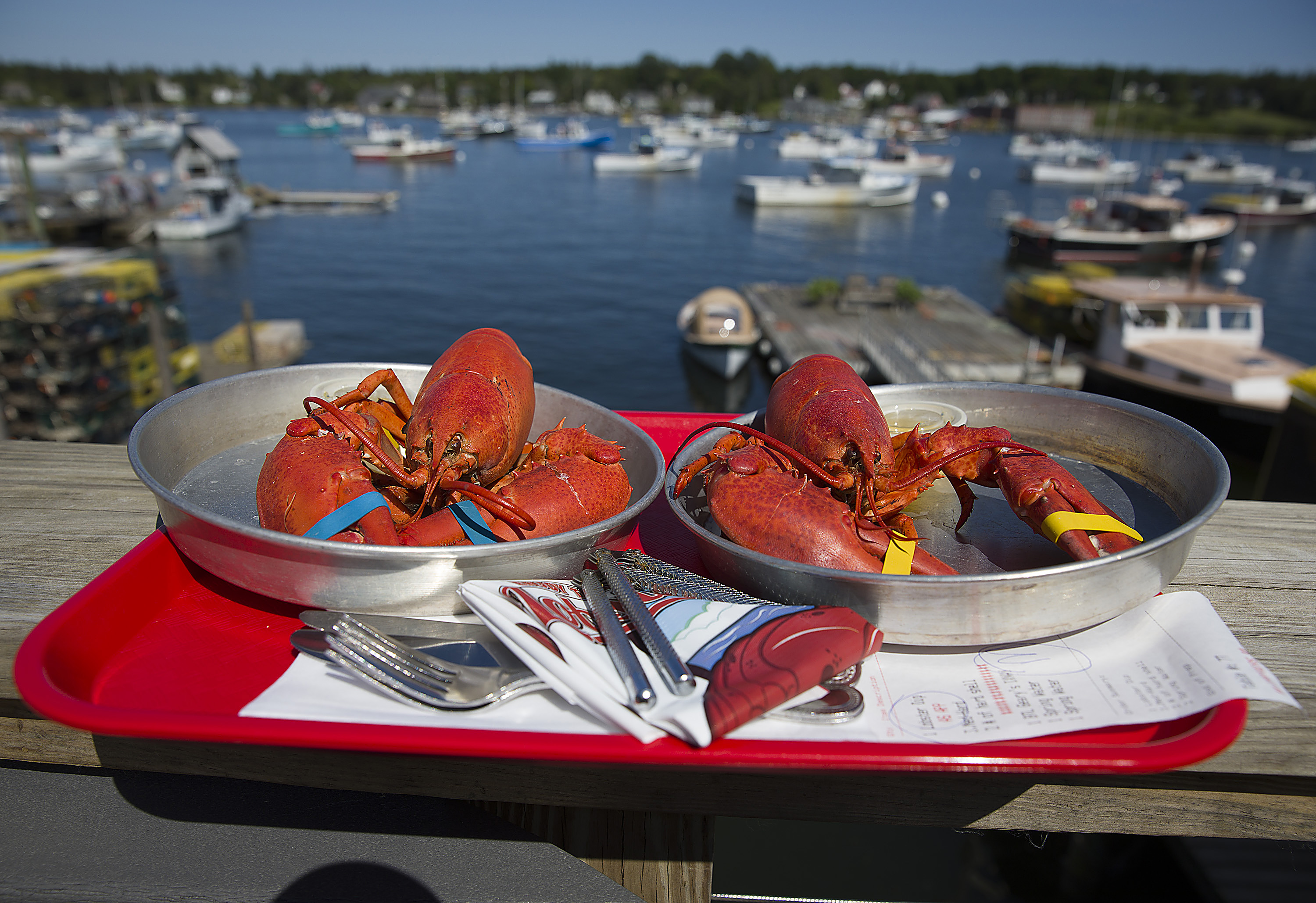 Lobster Prices Higher Than Usual Due to Limited Supply, High Demand